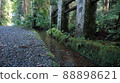 Daiyuzan Saijoji Stairs water collector Japan Temple Shrine 88898621