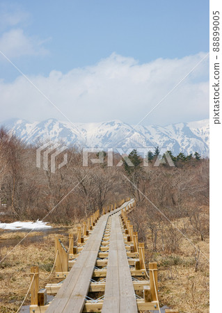 Spring Numappara Marsh Spring Numappara Marsh 88899005
