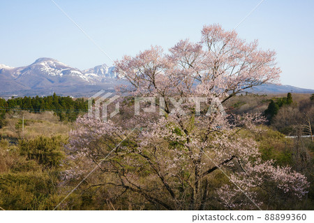 佐倉和那須山脈 88899360