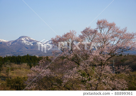 佐倉和那須山脈 88899361