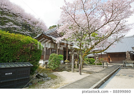 Nichiren Sect Fukuo Yamamoto Temple precincts in Akizuki, Asakura City, Fukuoka Prefecture Nichiren Sect Fukuo Yamamoto Temple precincts in Akizuki, Asakura City, Fukuoka Prefecture 88899860
