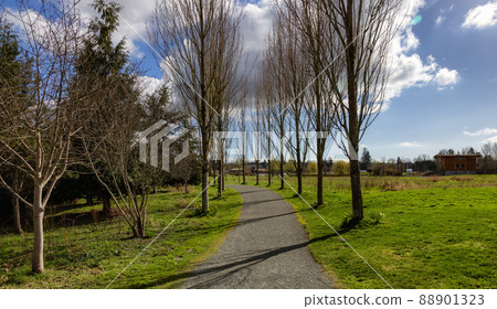 Scenic path in a park with green field and trees in a city. 88901323