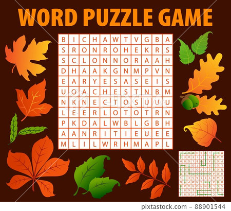 Autumn leaves and acorns word search puzzle game worksheet, kids quiz. Vector crossword grid with words birch, hawthorn, oak and ash, chestnut, linden with maple, viburnum and willow educational task Autumn leaves and acorns word search puzzle game worksheet, kids quiz. Vector crossword grid with words birch, hawthorn, oak and ash, chestnut, linden with maple, viburnum and willow educational task 88901544