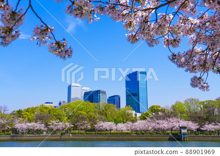 Osaka Business Park seen from along the river, the season when the cherry blossoms are in full bloom 88901969