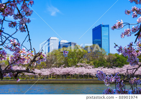 從河邊看大阪商務園,櫻花盛開的季節 從河邊看大阪商務園,櫻花盛開的季節 88901974