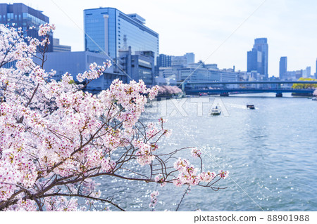 沿著大川向天滿橋方向的一排櫻花樹【大阪毛馬櫻之宮公園】 88901988