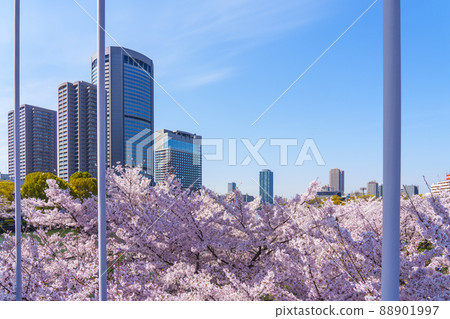 Osaka Amenity Park and Sakura 88901997