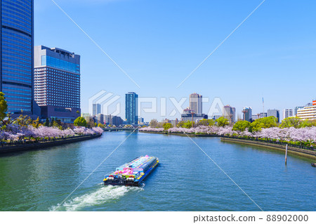 A row of cherry blossom trees along the river OAP towards Genpachibashi 88902000