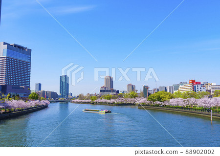 A row of cherry blossom trees along the river towards Genpachibashi 88902002