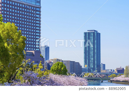 A row of cherry blossom trees along the river towards Genpachibashi 88902005