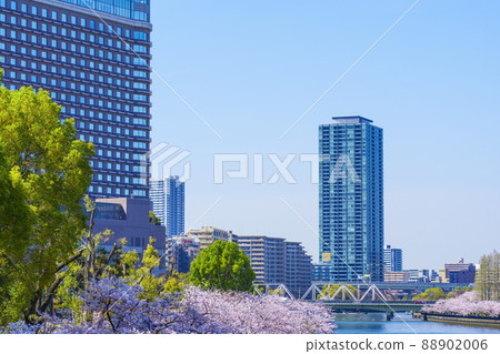A row of cherry blossom trees along the river towards Genpachibashi 88902006