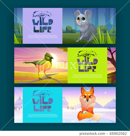 Wildlife posters with cute fox, bird, and mouse 88902082