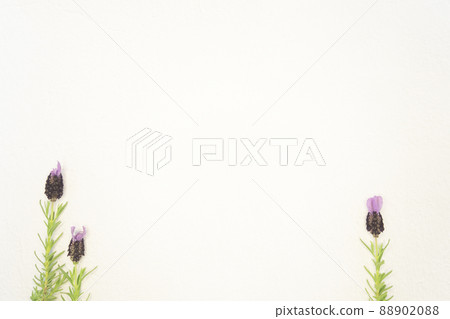 Lavender white wallpaper 88902088