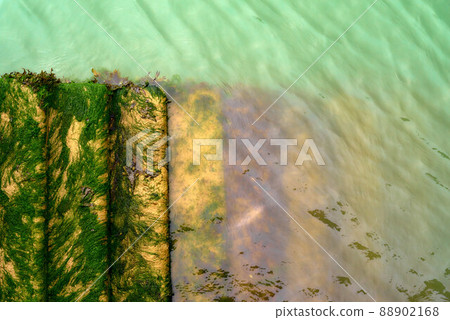 Seaweed covered steps down into light green water Seaweed covered steps down into light green water 88902168