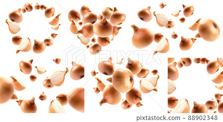 A set of photos. Ripe Golden onion levitates on a white background 88902348