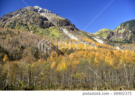 Yakeyama of autumn leaves 88902375