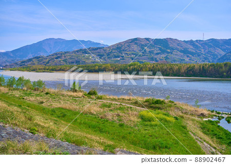 Looking southeast from the bank of the Yoshino River near Ai Land Udatsu Road Station in Wakimachi, Mima City, Tokushima Prefecture in spring 88902467