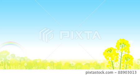 Landscape of rape field, rainbow and blue sky Landscape of rape field, rainbow and blue sky 88903013