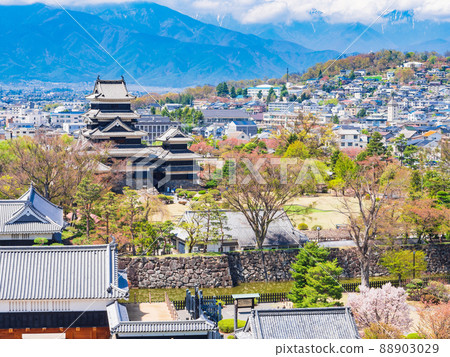 從松本市廳看春天松本城 88903029