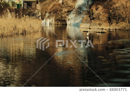 首爾市西大門區洪堤川人工瀑布鷺河 首爾市西大門區洪堤川人工瀑布鷺河 88903771