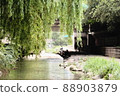 首爾 清溪川 下午 平靜 破河 88903879