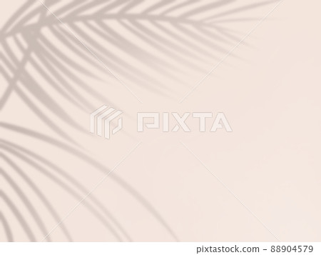 Background with shadows of palm leaves 88904579