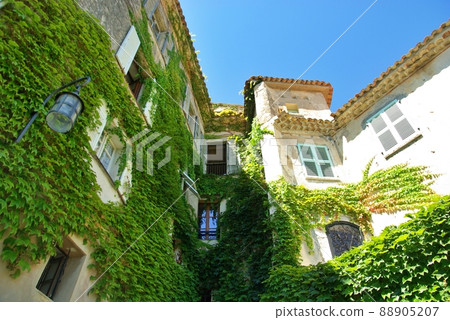 常春藤覆蓋的法國南部公寓 88905207