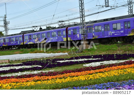 Flower field and Kintetsu train Flower field and Kintetsu train 88905217