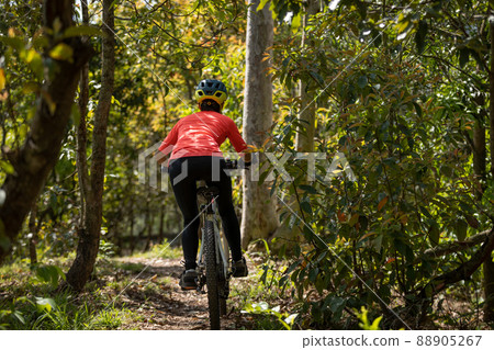 Mountain biking in spring forest 88905267