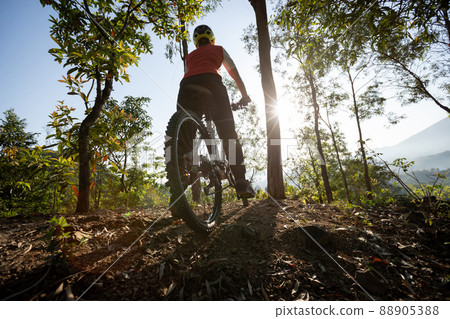 Mountain biking in spring forest 88905388