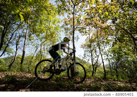 Mountain biking on spring forest trail 88905401