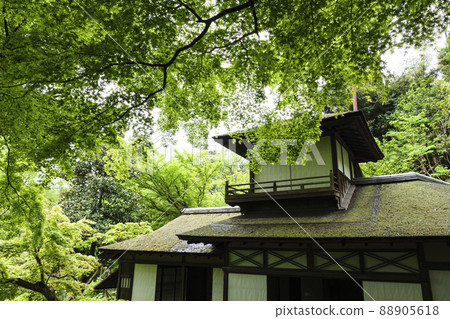 三溪園,位於神奈川縣橫濱市中區本牧的風景區,新鮮的綠色令人眼花繚亂 三溪園,位於神奈川縣橫濱市中區本牧的風景區,新鮮的綠色令人眼花繚亂 88905618