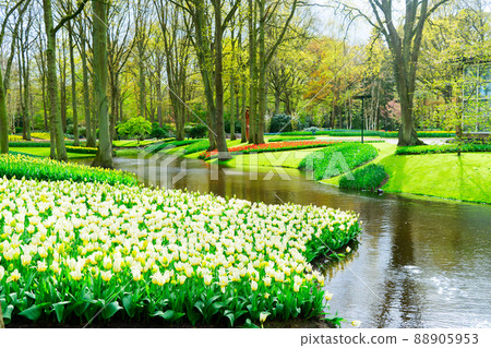 Spring pond in garden Spring pond in garden 88905953