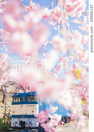 Katsunuma, Jinrokuzakura and EF64 Katsunuma, Jinrokuzakura and EF64 88906187