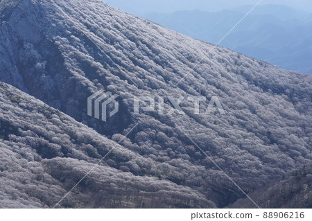 查看從Mt. Adatara的頂部 查看從Mt. Adatara的頂部 88906216