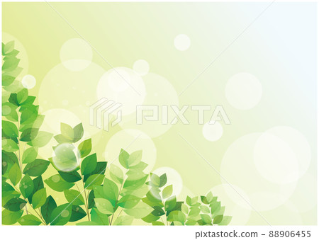 Fresh green summer background Fresh green summer background 88906455