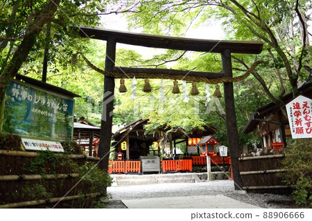 Kyoto Arashiyama Early Summer Nonomiya Shrine Torii Kyoto Arashiyama Early Summer Nonomiya Shrine Torii 88906666