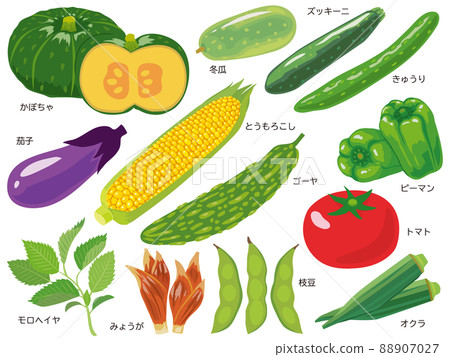 夏季蔬菜集 88907027