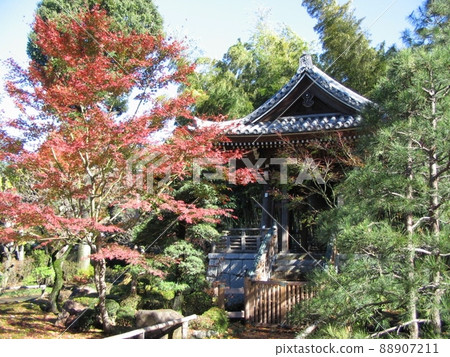 觀仙寺(東京都杉並區) 觀仙寺(東京都杉並區) 88907211