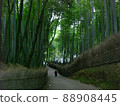 Bamboo grove of Arashiyama in Kyoto 88908445