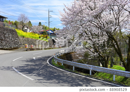 Sakura on the Kaminawa Kamiyama Line "Matsuda Town" Sakura on the Kaminawa Kamiyama Line "Matsuda Town" 88908529