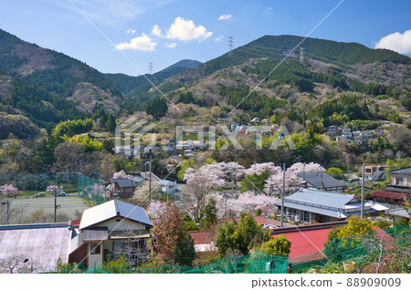 Yadoriki的春天風景<<松田町>> Yadoriki的春天風景<<松田町>> 88909009