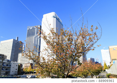 橫濱(秋季) 橫濱(秋季) 88909361