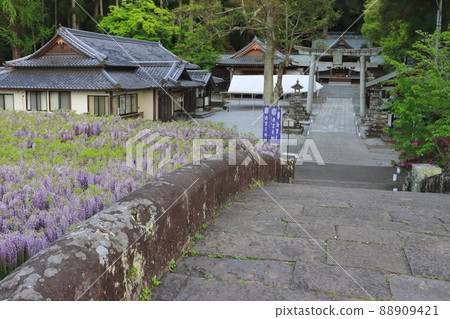 笹田神社（大分市） 88909421