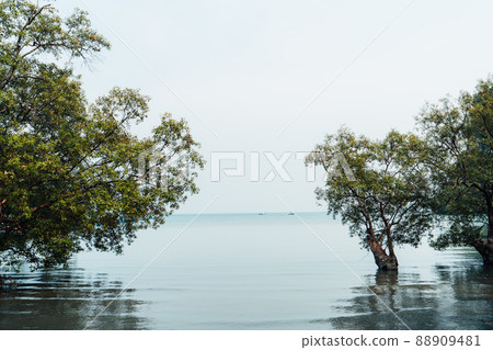 Travel, sea and rocky mountains in Thailand Travel, sea and rocky mountains in Thailand 88909481