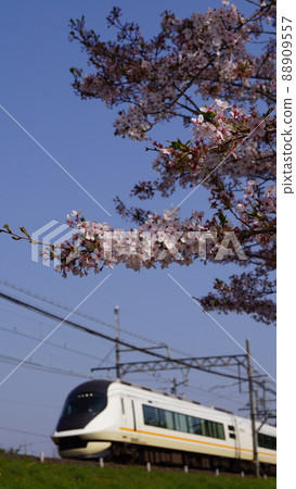 Sakura and Urban Liner 88909557