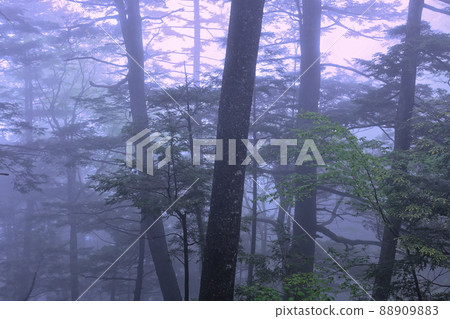 到清新綠色的上高地德後山口小屋 88909883