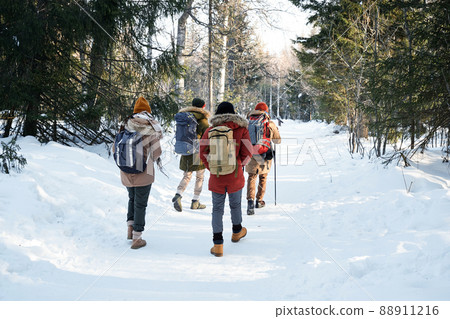 Unrecognizable group of four young people wearing backpacks walking along forest road on winter day Unrecognizable group of four young people wearing backpacks walking along forest road on winter day 88911216