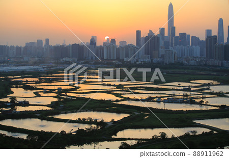 Shenzhen skyline , with skyscrapers and office against fish farm or fish ponds, during dramatic moment in evening, from the view of boundary of Hong Kong suburb where is named Ma Tao Lung 88911962