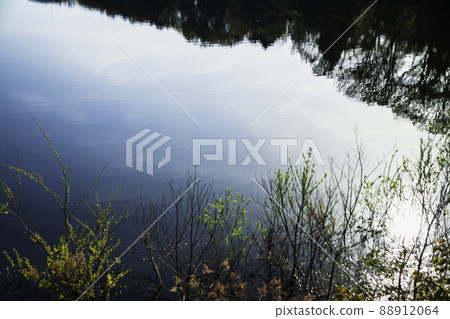 池塘邊的風景 池塘邊的風景 88912064